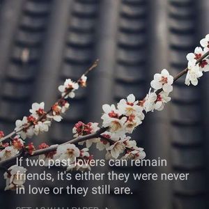 Meet your Posher, Sam